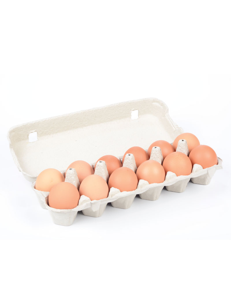 Single Dozen Eggs – Every Day Farm Fresh